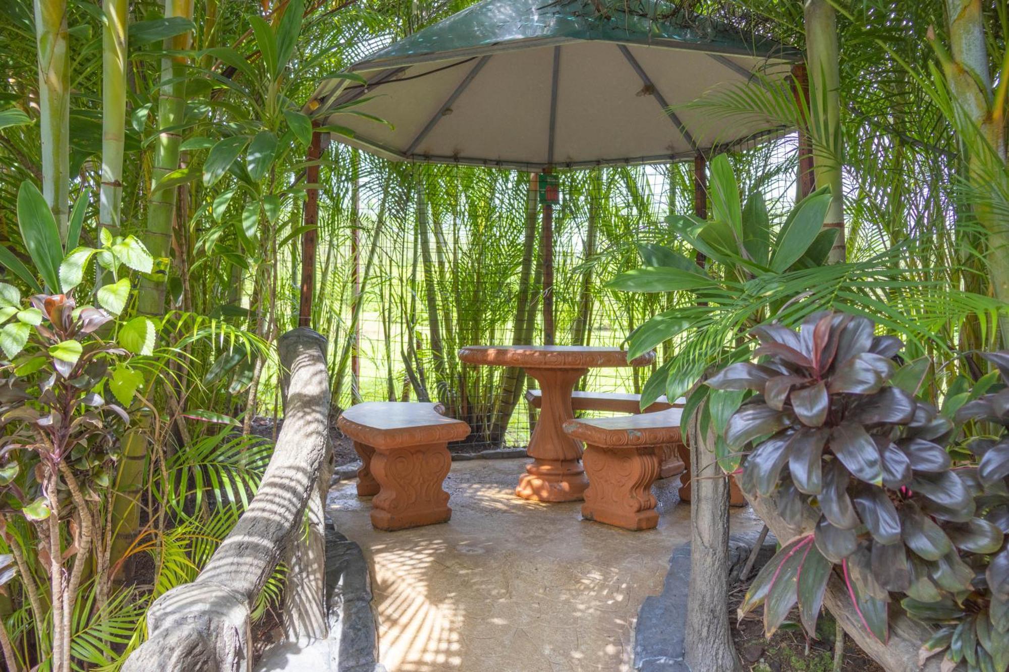 Hotel Relax Termalitas - Thermal Water La Fortuna Ngoại thất bức ảnh