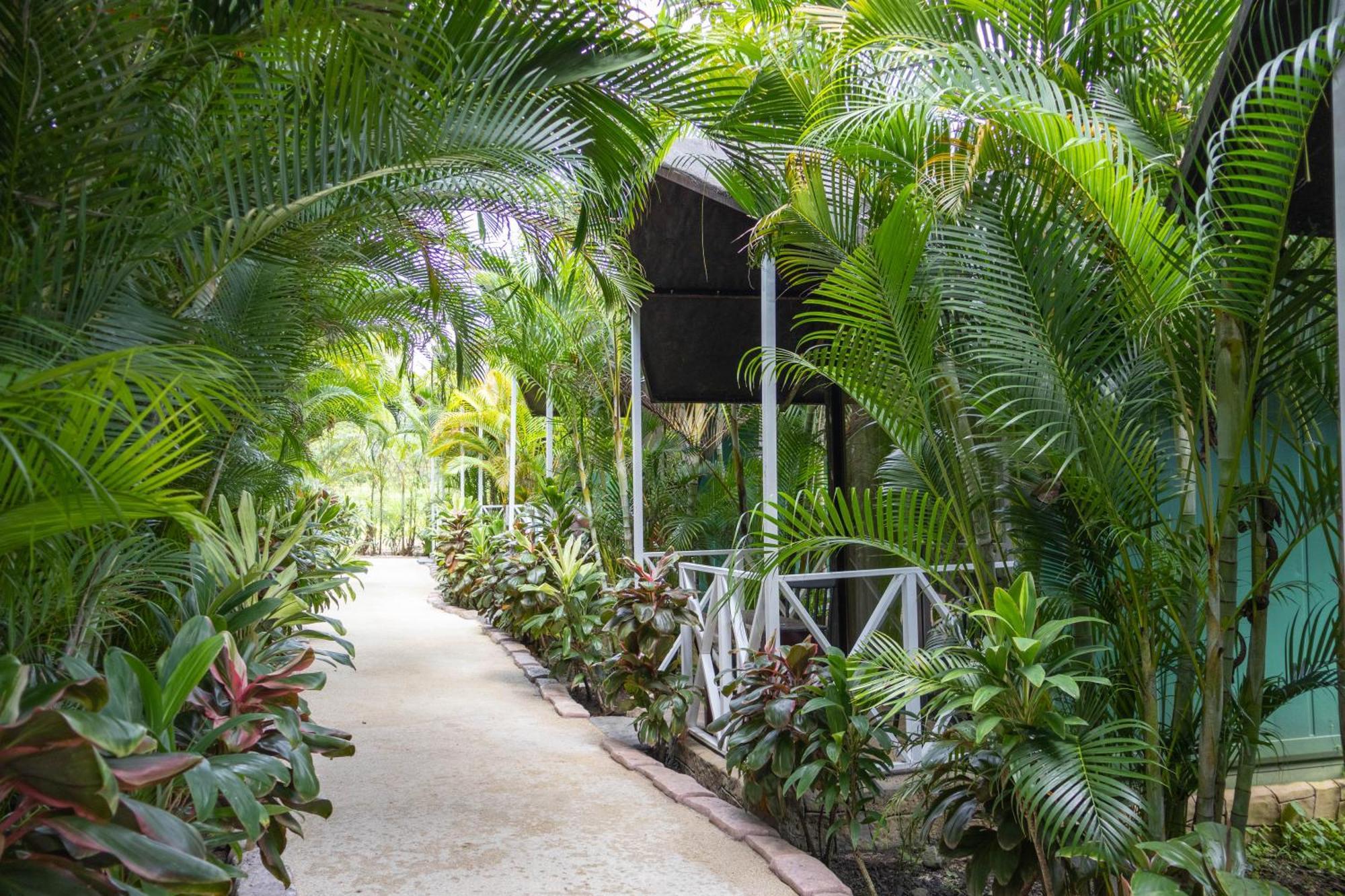 Hotel Relax Termalitas - Thermal Water La Fortuna Ngoại thất bức ảnh